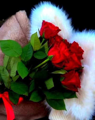 Need staff for a Women/Ladies Hostel in Pwd and D12