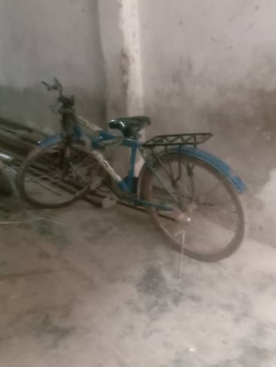 bicycle sale urgent