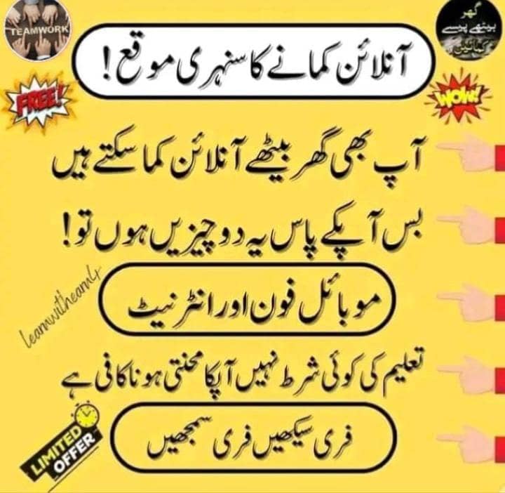 پاکستان میں رہتے ہوئے گھر بیٹھے کے  ڈا لر ز کما نے سنہری موقع 0