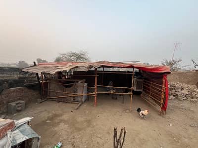 Goat farm set up for sale