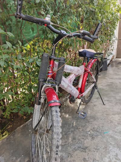 Sumac 0-39 Pro Bicycle