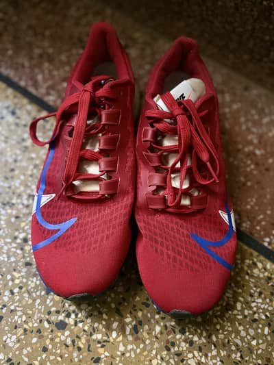 Nike Air Zoom Pegasus 37