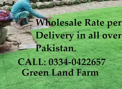 Natual Korean Grass and American Grass and Fine dhaka