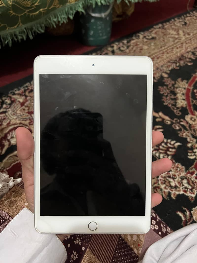 ipad mini 5 6
