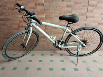 Hybrid Bicycle (Japanese)