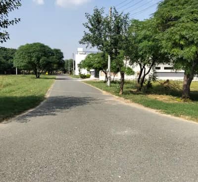 5 Marla Beauty Full Plot For Sale