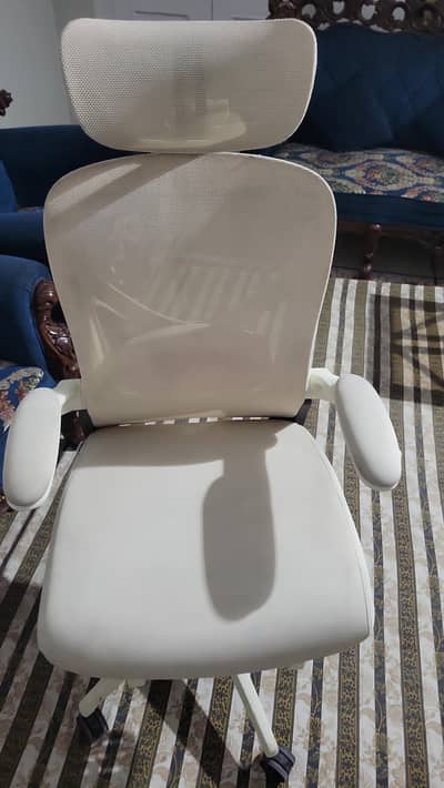 flexispot executive computer chair