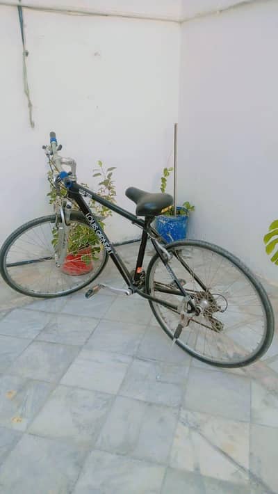 I am selling bicycle