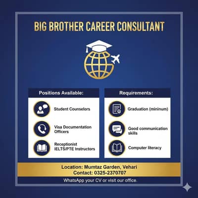 Study abroad career consultant