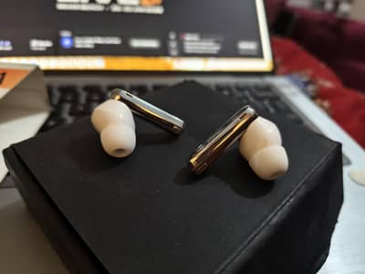 Haylou W1 ANC Earbuds