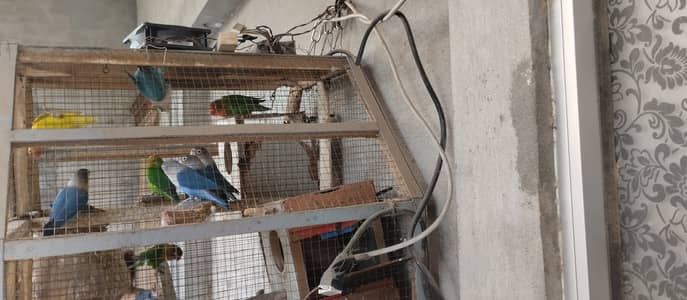 Agrics town 98A block C street 10