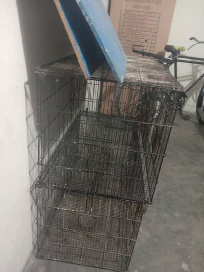 cage for sale Wtp 03204847881