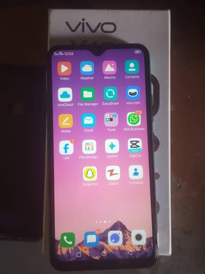 vivo y17 all ok with box 8 256