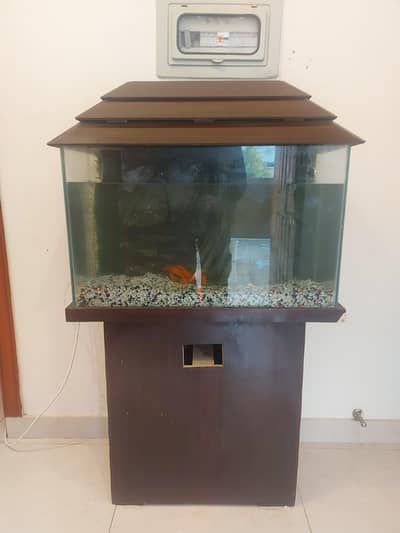 Fish aquatium with 6 fish