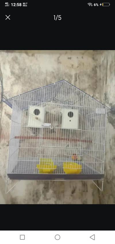 different cages Wtp 03204847881