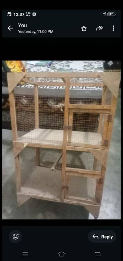 cages Wtp 03204847881