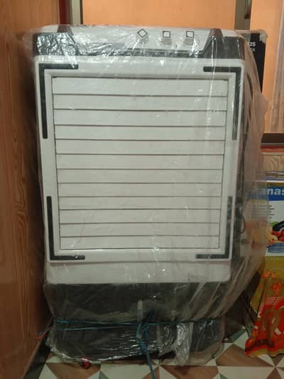 AC DC Air Cooler