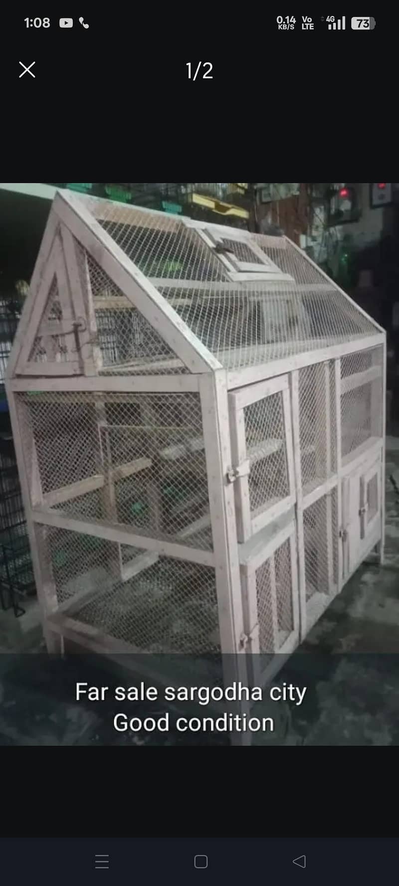 Australian & java finch 13