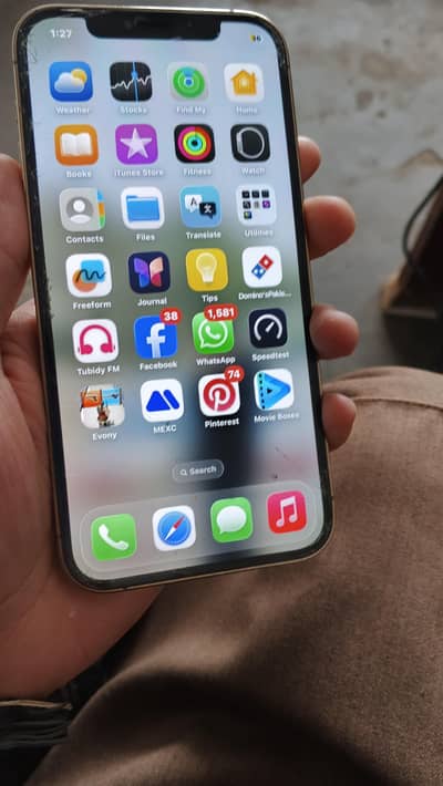 iphone 12 pro Total Geniune