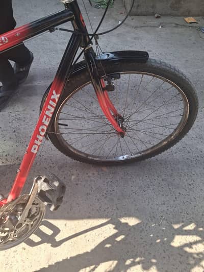 Phoenix cycle for sale