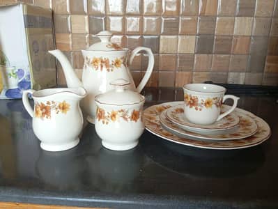 22 peice tea set