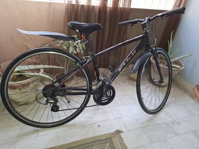 Fuji absolute two-1 road bike