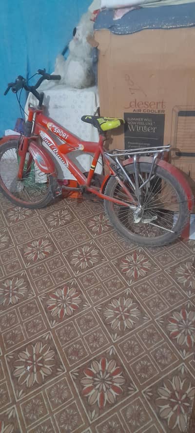 Mountain Cycle For Sale