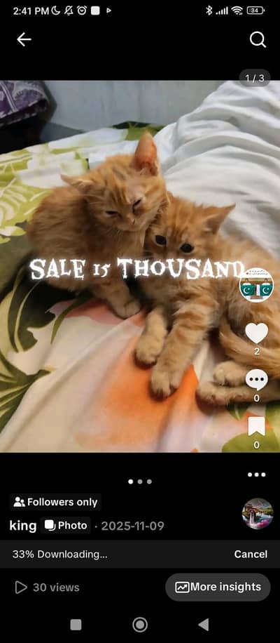 ye treen washroom hy