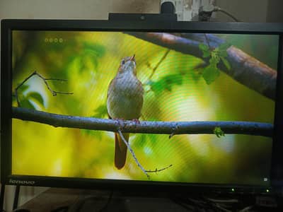 Lenovo T2224ZD 22 Inch Full HD IPS Monitor