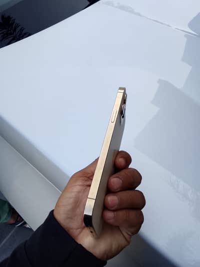 iPhone 12pro Max256gb official PT approve urgent for sale