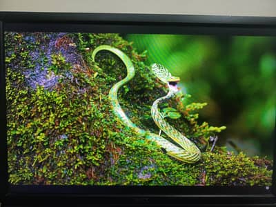 Dell U2412M 24 Inch WUXGA Monitor