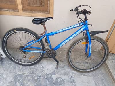 Copperfox Blue Mountain Cycle | Durable | Ready to Ride