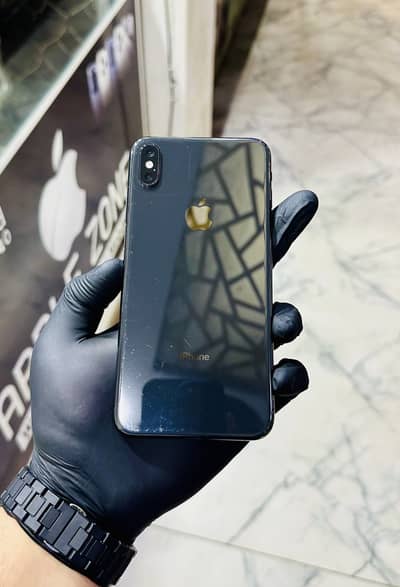 Xs max dual sim pta approved