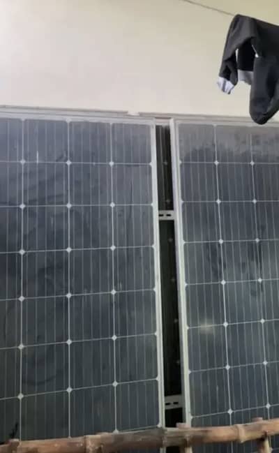 5 sollar plates available