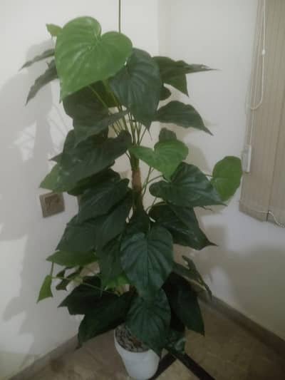 Artificial Planter with pot