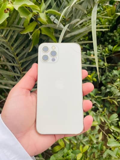 IPHONE 12 PRO NON PTA 256gb