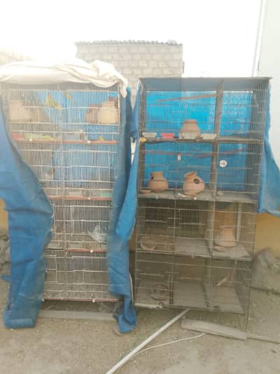 8 poshan wala pinjara