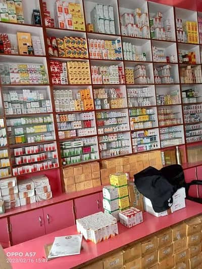 I need Assistant pharmacist job plus B category available