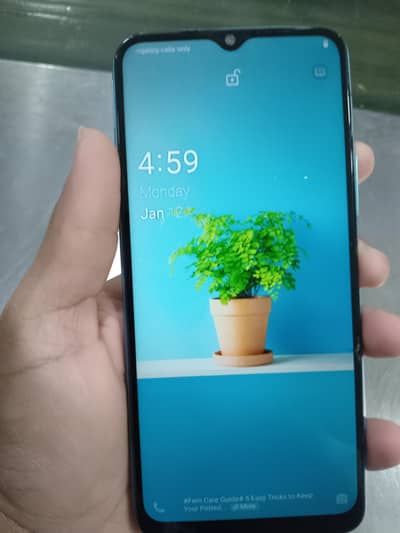 vivo for sale