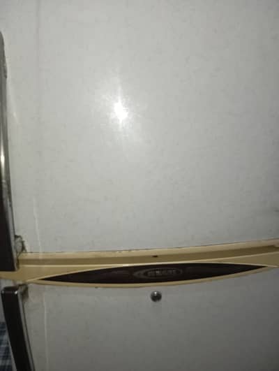 Fridge/Waves  Refrigerator/100%   working