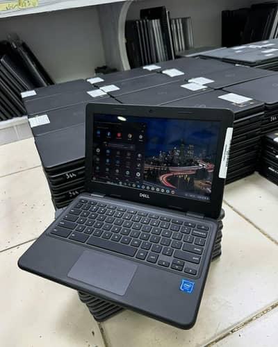 dell 3100 2029 updated 4)16