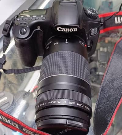 Canon 60D Dslr camera