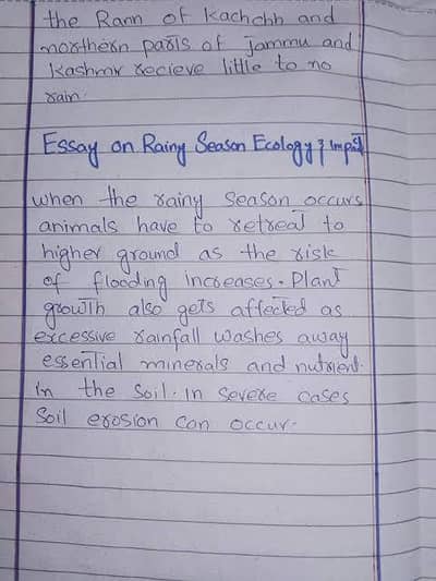 Typing and Writing Assignments