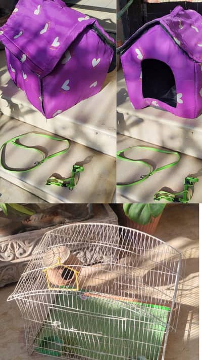 Bird and Cat Cage with holding Strip, Cat Cage, Cat Home, Pinjara