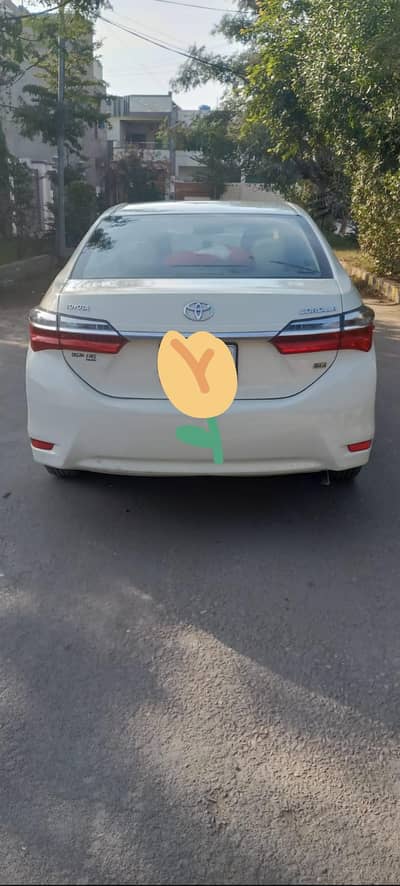 Toyota Corolla Gli 2019 model 03016760520