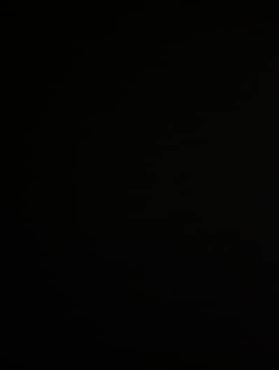 ned female for inventory management