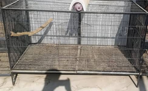 cage big cage dog cat lovebirds jawa colony