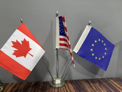 Experience Immigration consultant