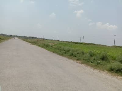 I-12/3 Nust Back 25x50 Park Face Plot