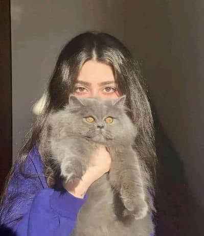 Maryam Bibi
